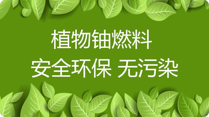 植物油燃料是国家认可的一个新能源项目,植物油燃料很有市场的